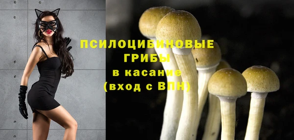 мяу мяу кристалл Переславль-Залесский