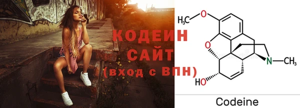 шишки Пестово