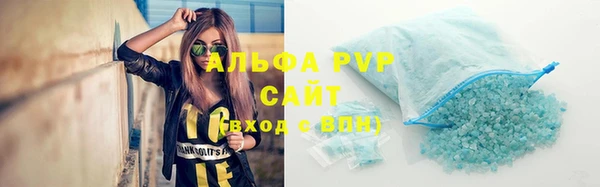 шишки Пестово