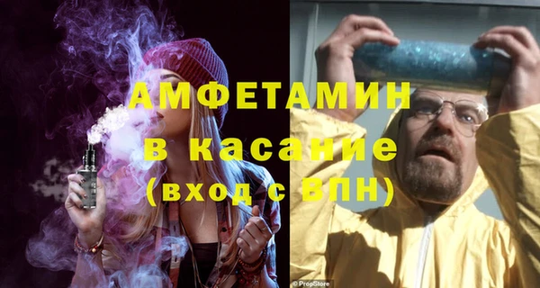 шишки Пестово
