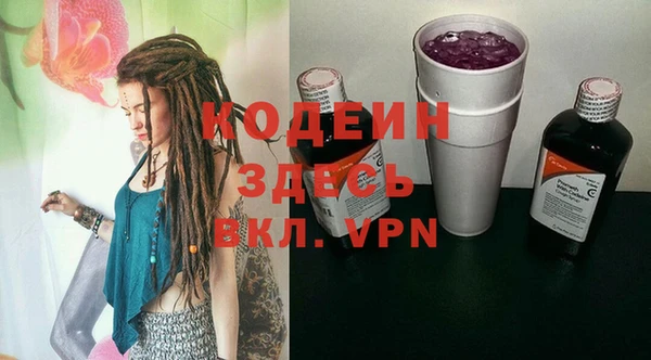 шишки Пестово
